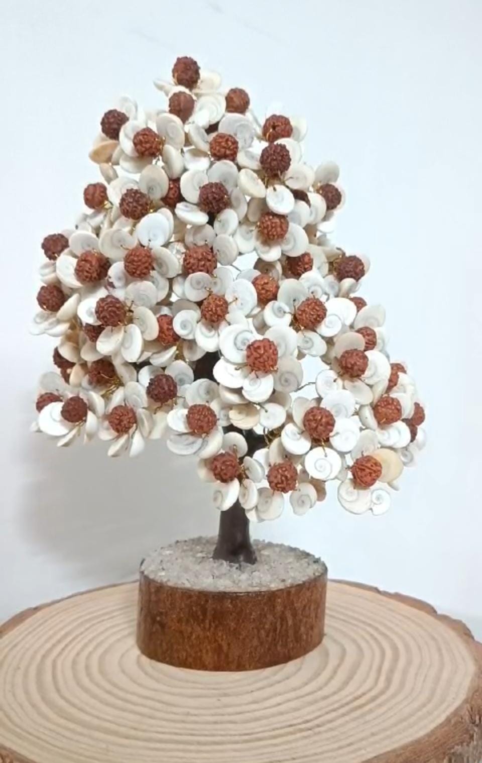 Gomti Chakra with Rudhraksh Tree