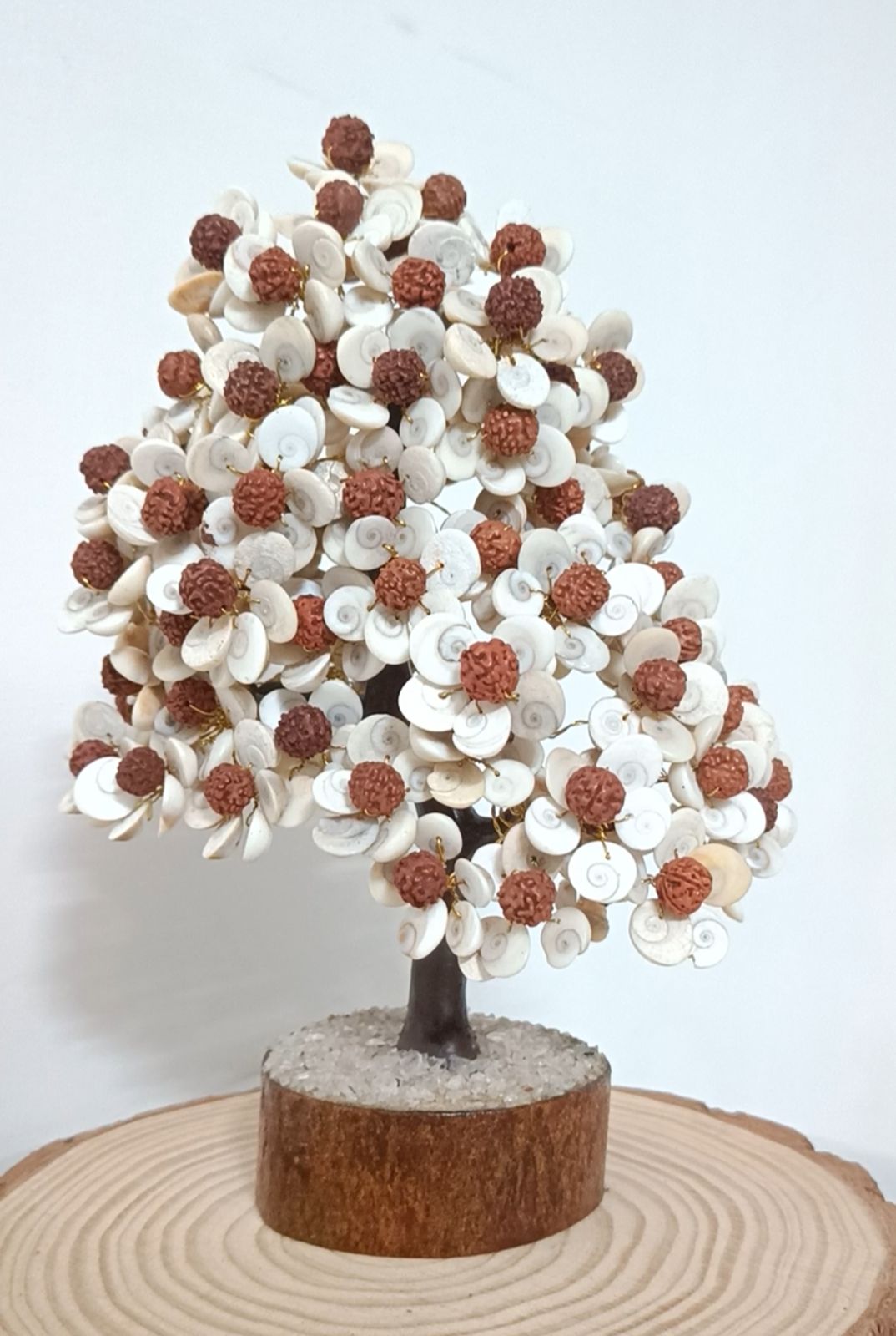 Gomti Chakra with Rudhraksh Tree