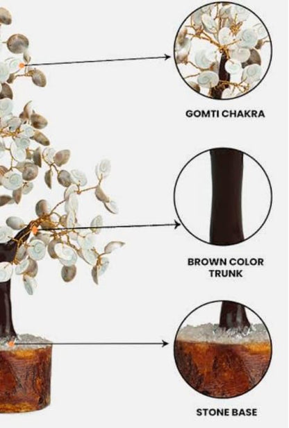 Gomati Chakra  Tree