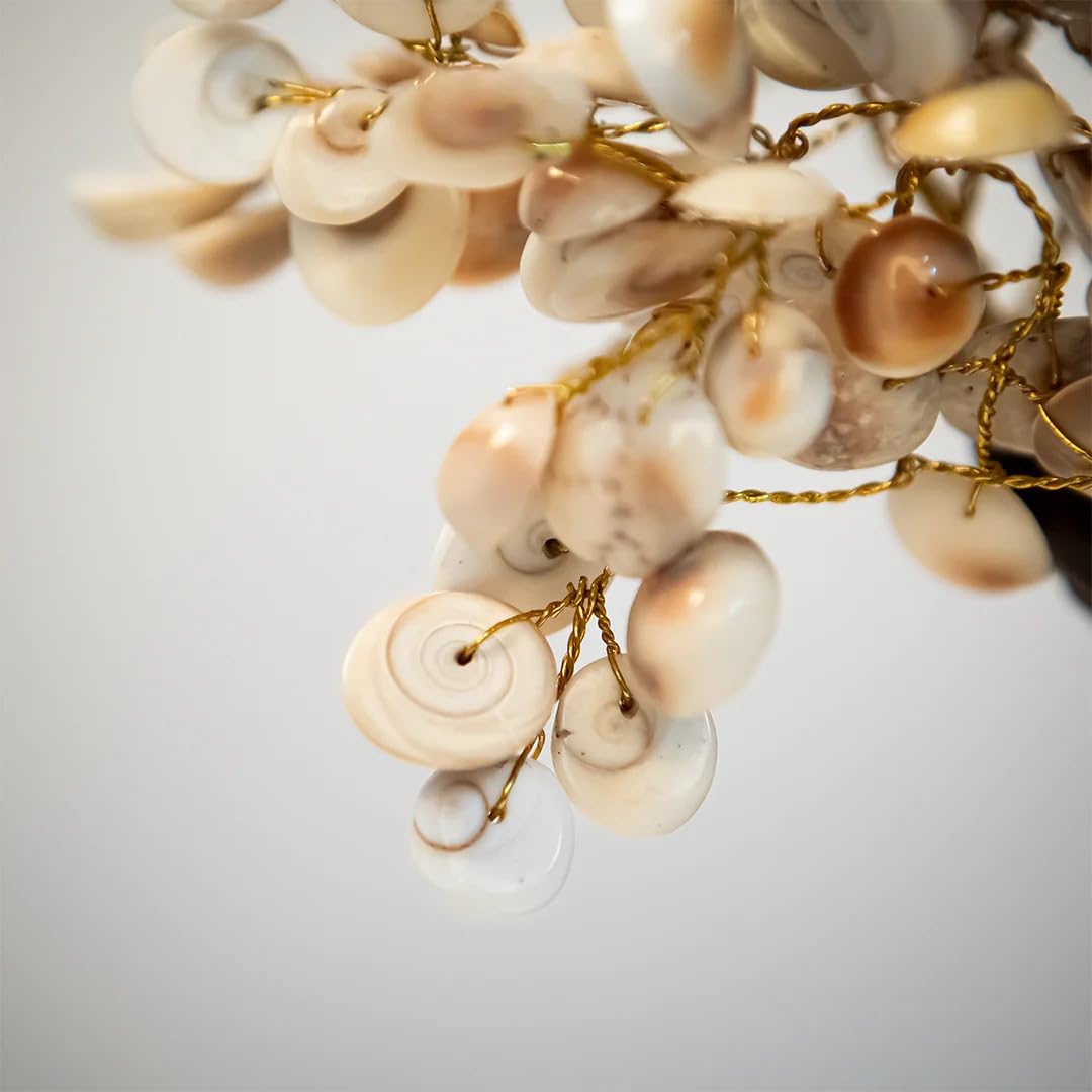 Gomati Chakra  Tree