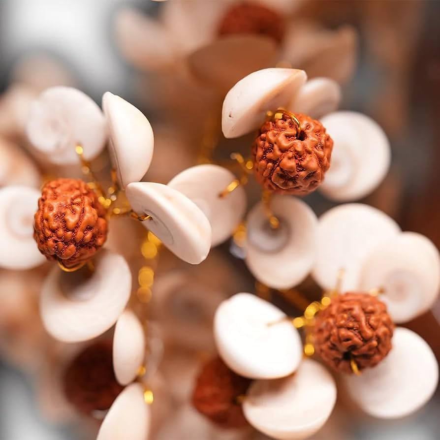 Rudraksha Gomti Chakra Luck Tree