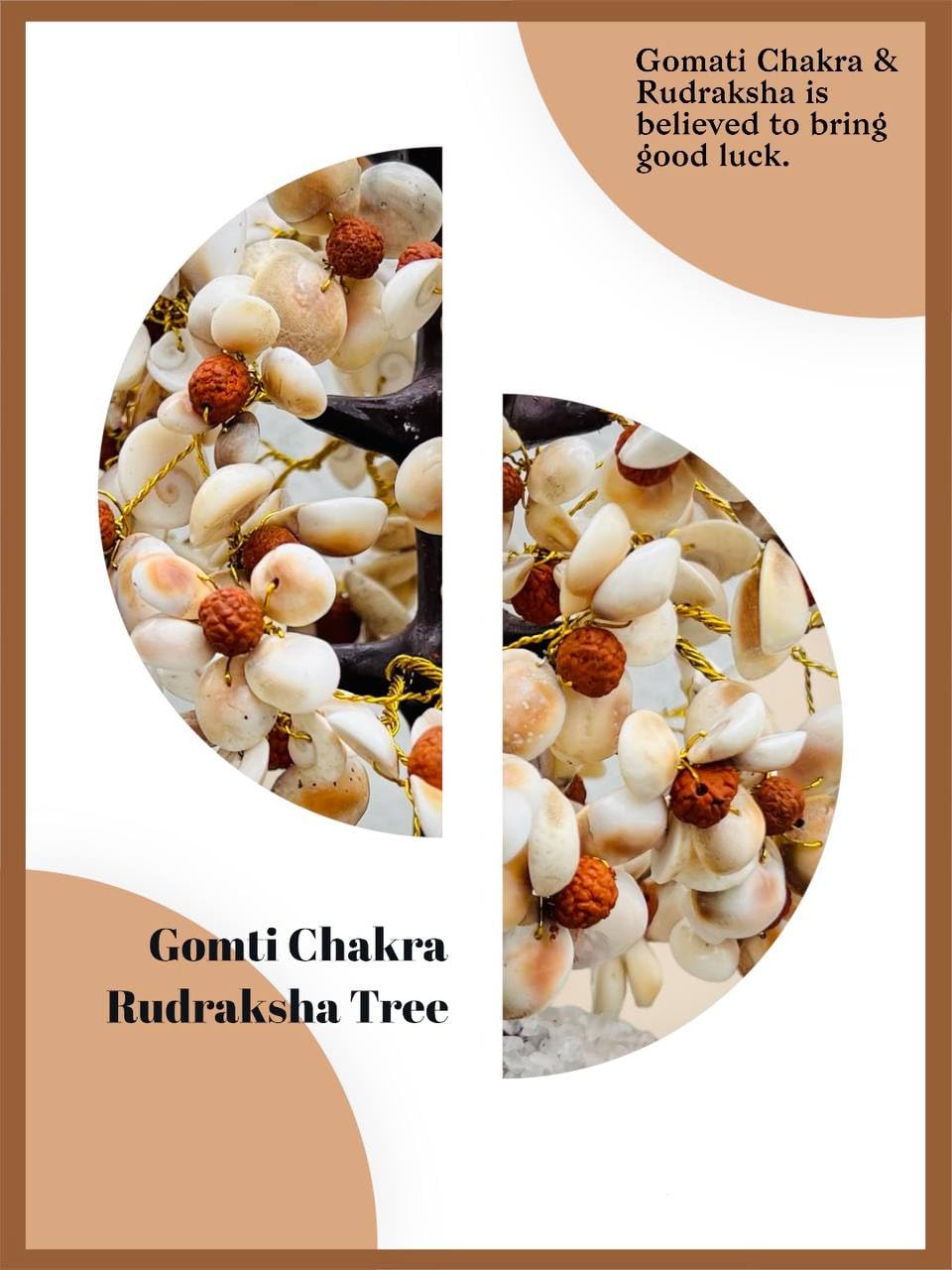 Rudraksha Gomti Chakra Luck Tree