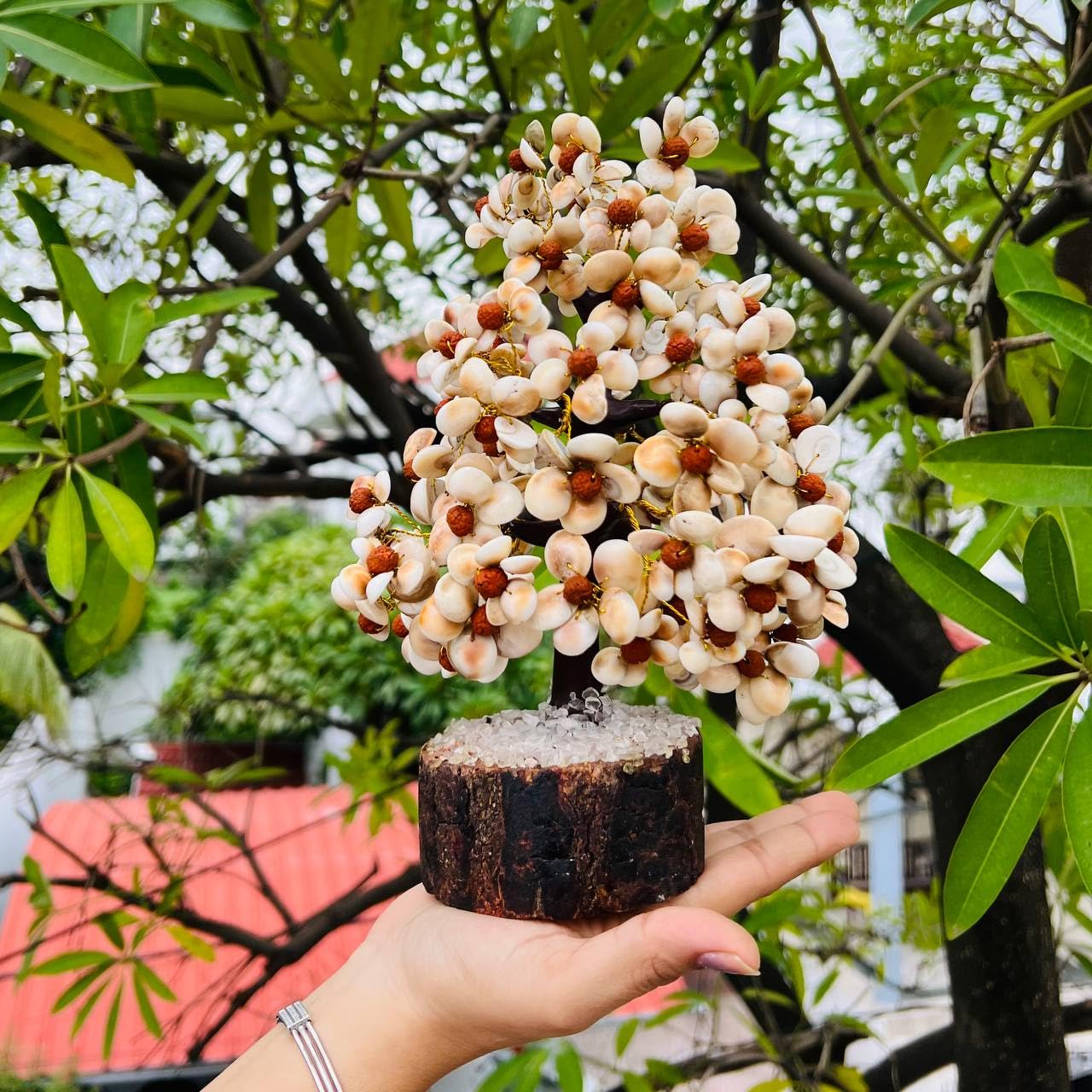 Rudraksha Gomti Chakra Luck Tree
